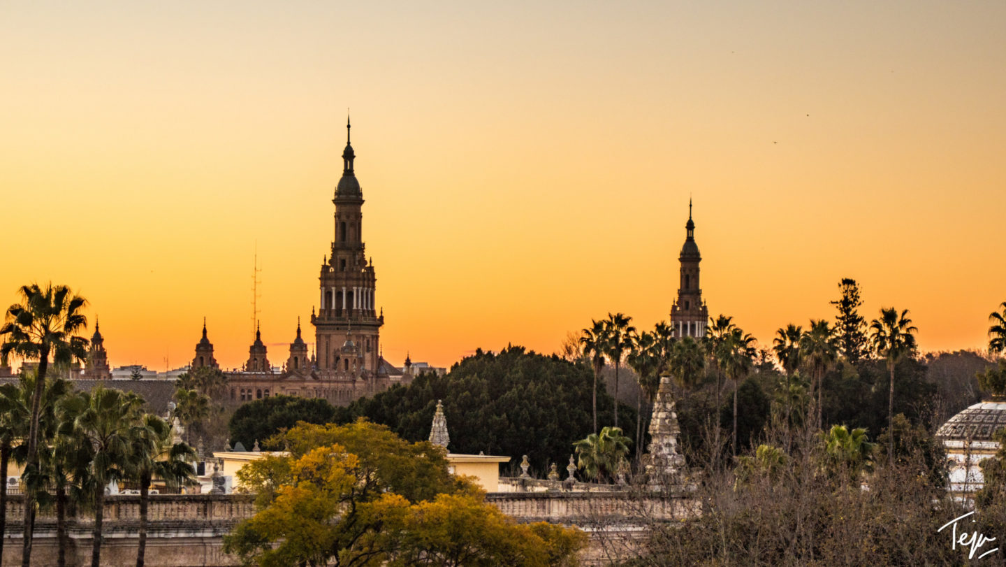 a group of buildings with trees and a sunset