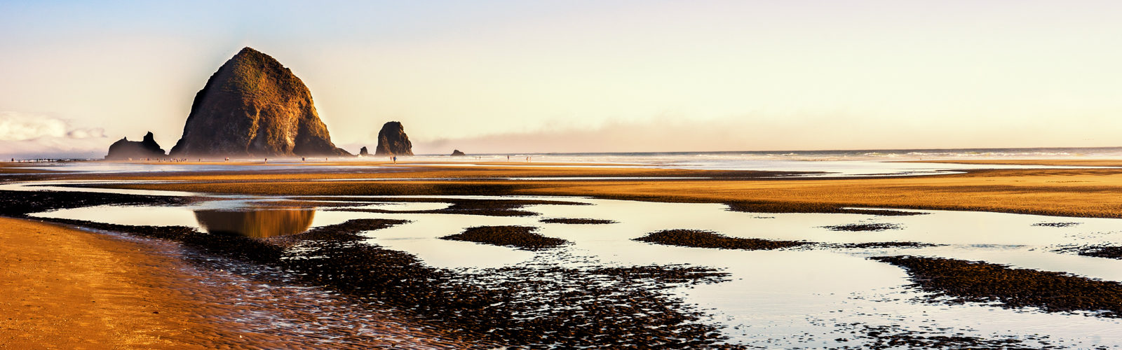 Focal Point: 5 Pictures of Cannon Beach