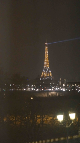 Westinparis (28)