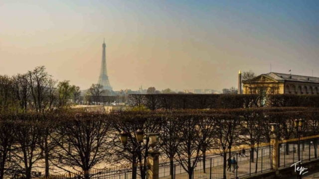 Westinparis (39)