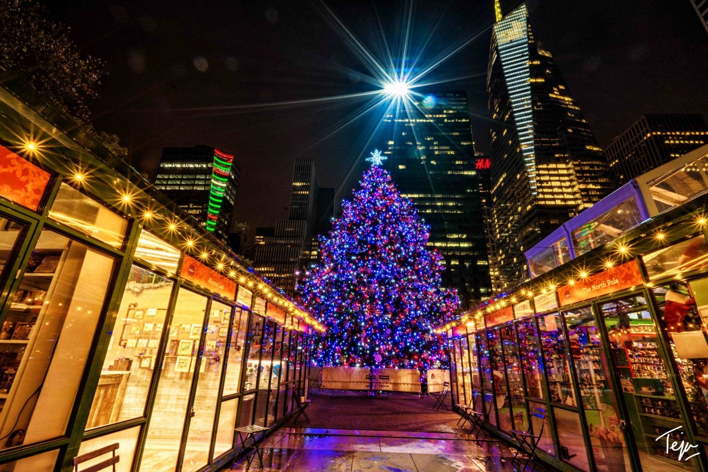 a large christmas tree in a city
