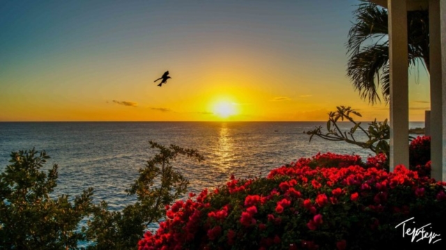 500px Photo ID: 113576901 - One of my greatest pictures ever. Another scintillating on the west coast of Sint Maarten. A bird flew by just to make it one of my best ever. Enjoy!