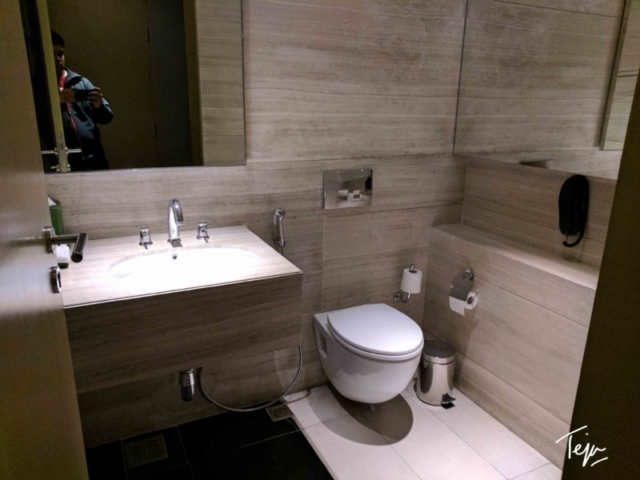 HolidayInnDEL10