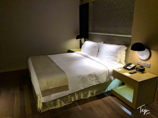 HolidayInnDEL15