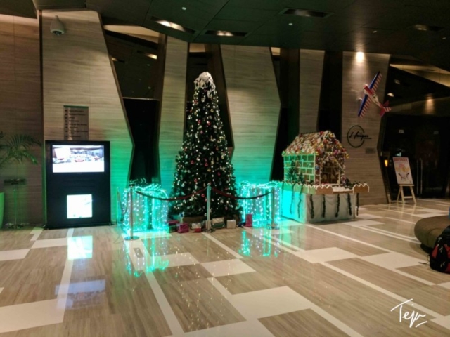 HolidayInnDEL2