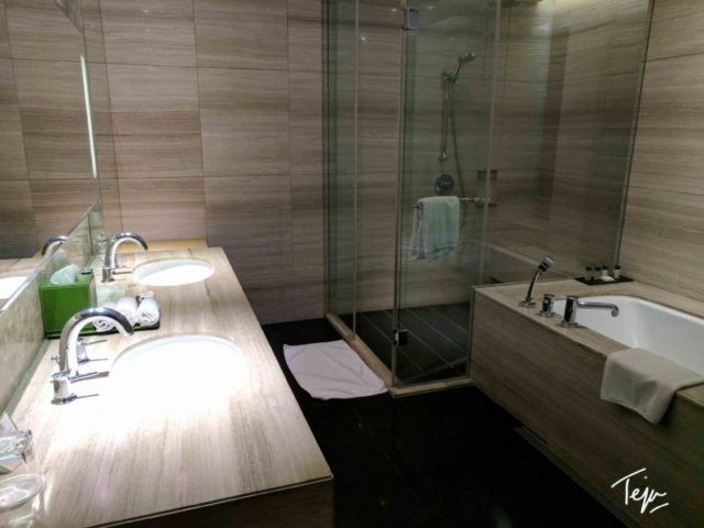 HolidayInnDEL20