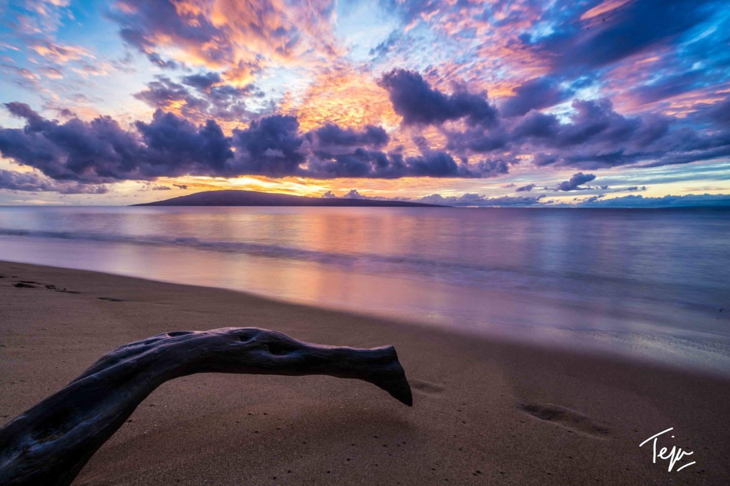 a log on a beach