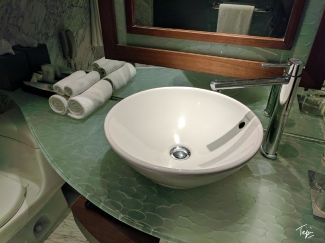 HyattRegencyDEL-10