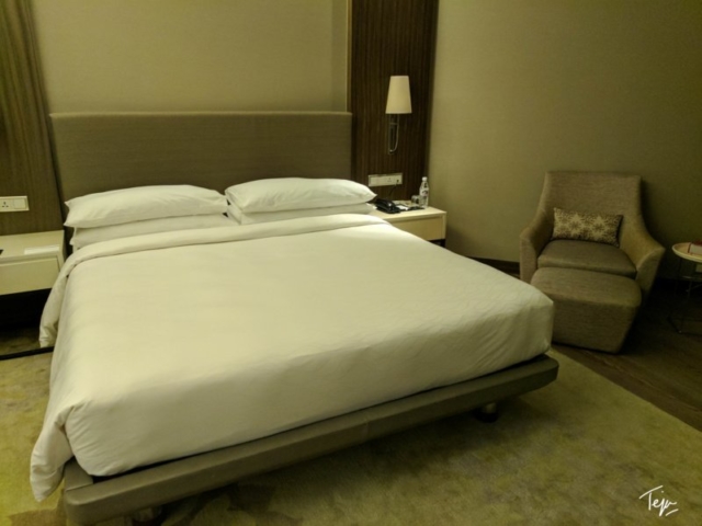 HyattRegencyDEL-13
