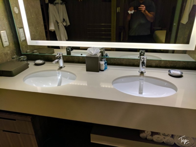 HyattRegencyDEL-14