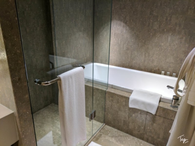 HyattRegencyDEL-15