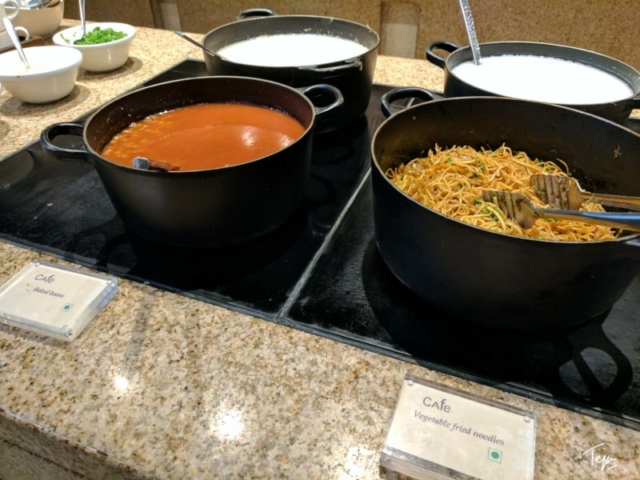 HyattRegencyDEL-59