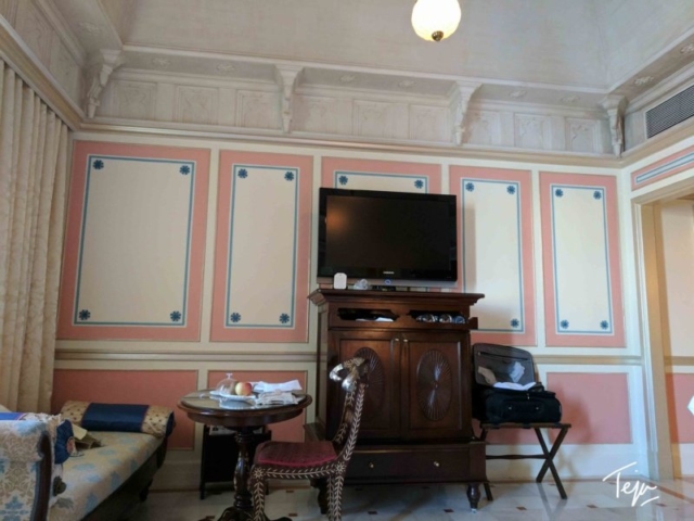 TajLakePalaceUDR94
