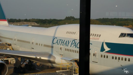 a large white airplane at an airport