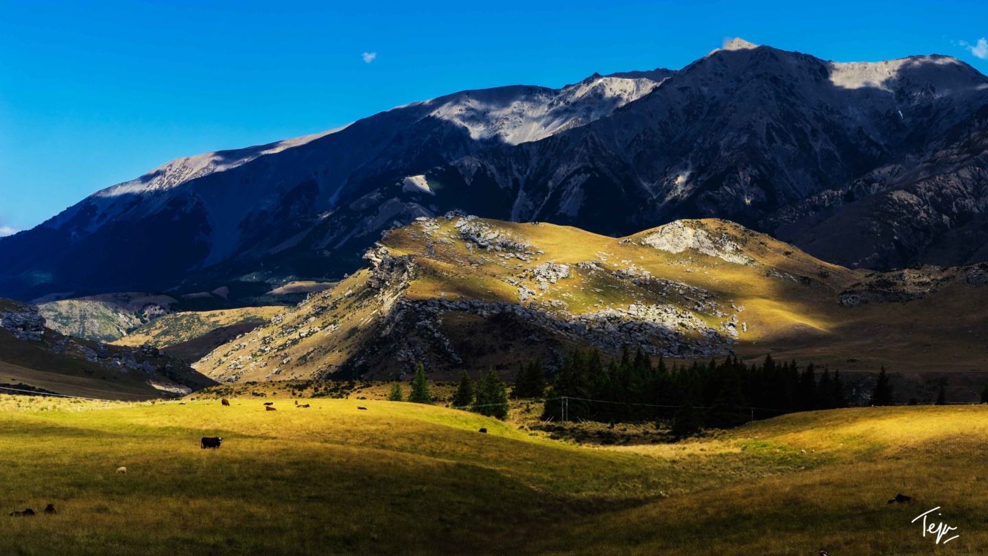 a large grassy field with a mountain in the background