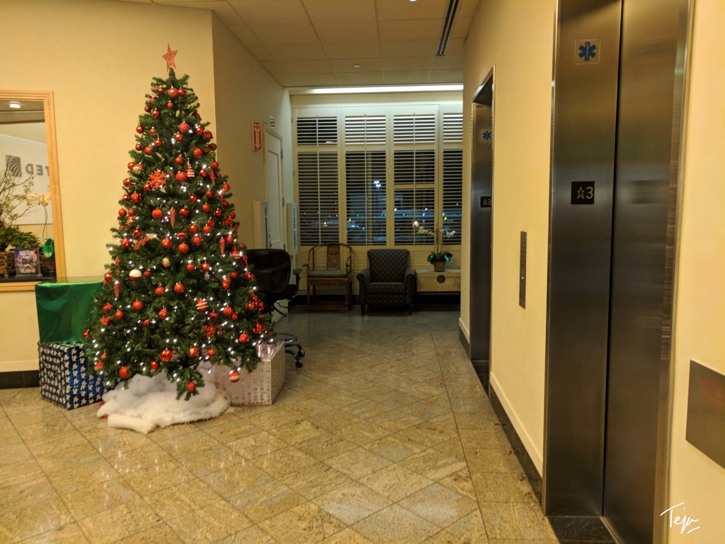 a christmas tree in a hallway