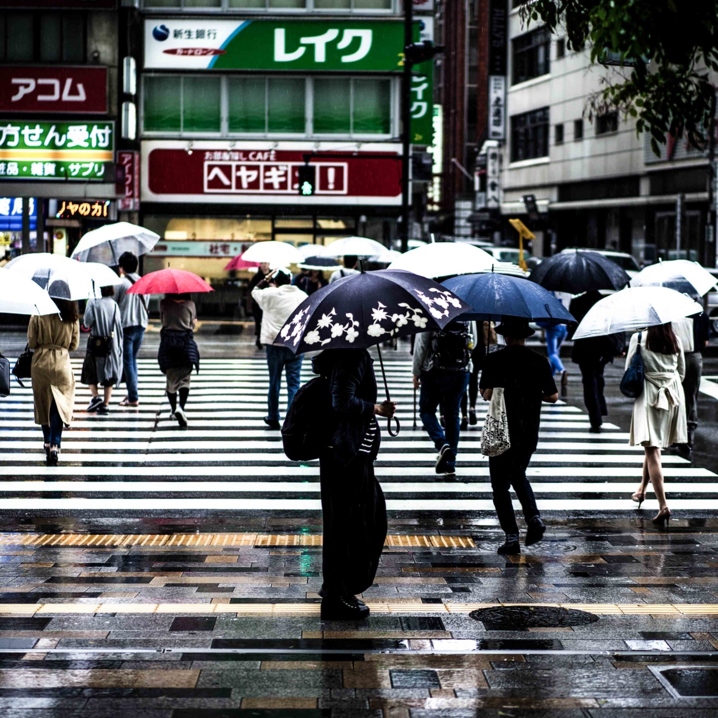 Focal Point: A Rainy Day in Tokyo