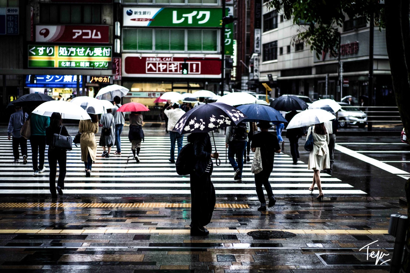 people holding umbrellas in the rain