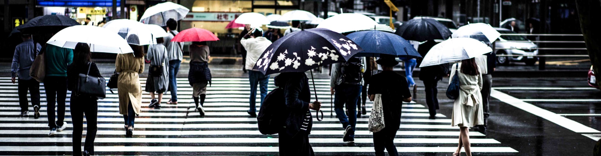 Focal Point: A Rainy Day in Tokyo