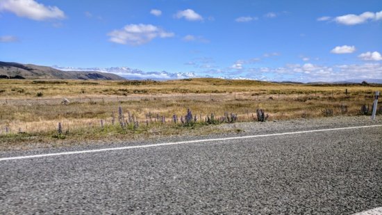 a road with grass and mountains in the background