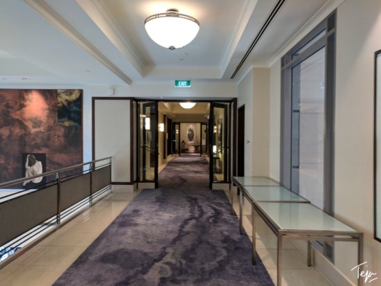 a hallway with glass doors and a purple rug