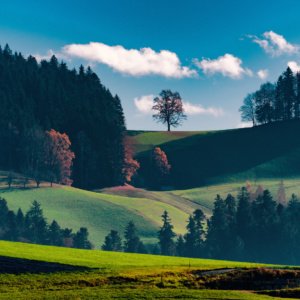 a green hills with trees and blue sky