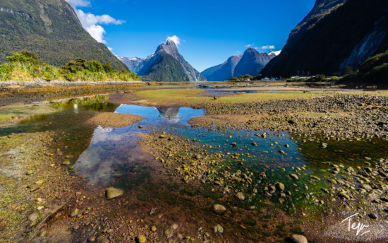 a rocky shore with mountains in the background with Milford Sound in the background