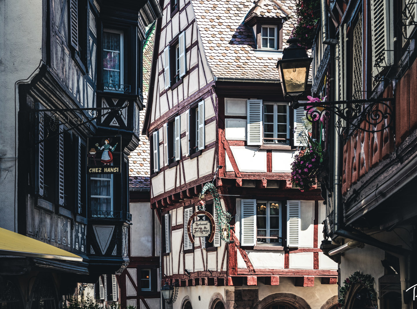 Strolling through Charming Colmar: France’s Most Beautiful Town?