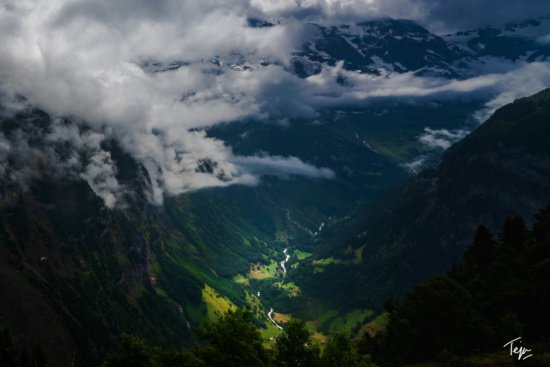 a valley with clouds and trees