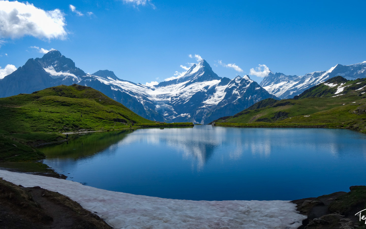 Ultimate Guide to the Jungfrau Region of Switzerland: My Favorite Place on  Earth – Grab a Mile