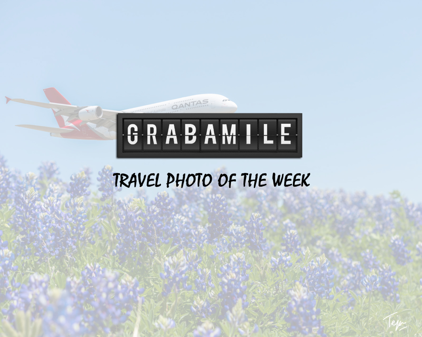 a plane flying over a field of flowers