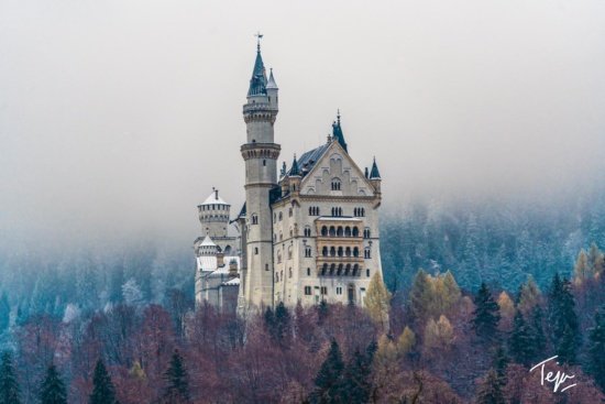 a castle with trees in the background with Neuschwanstein Castle in the background