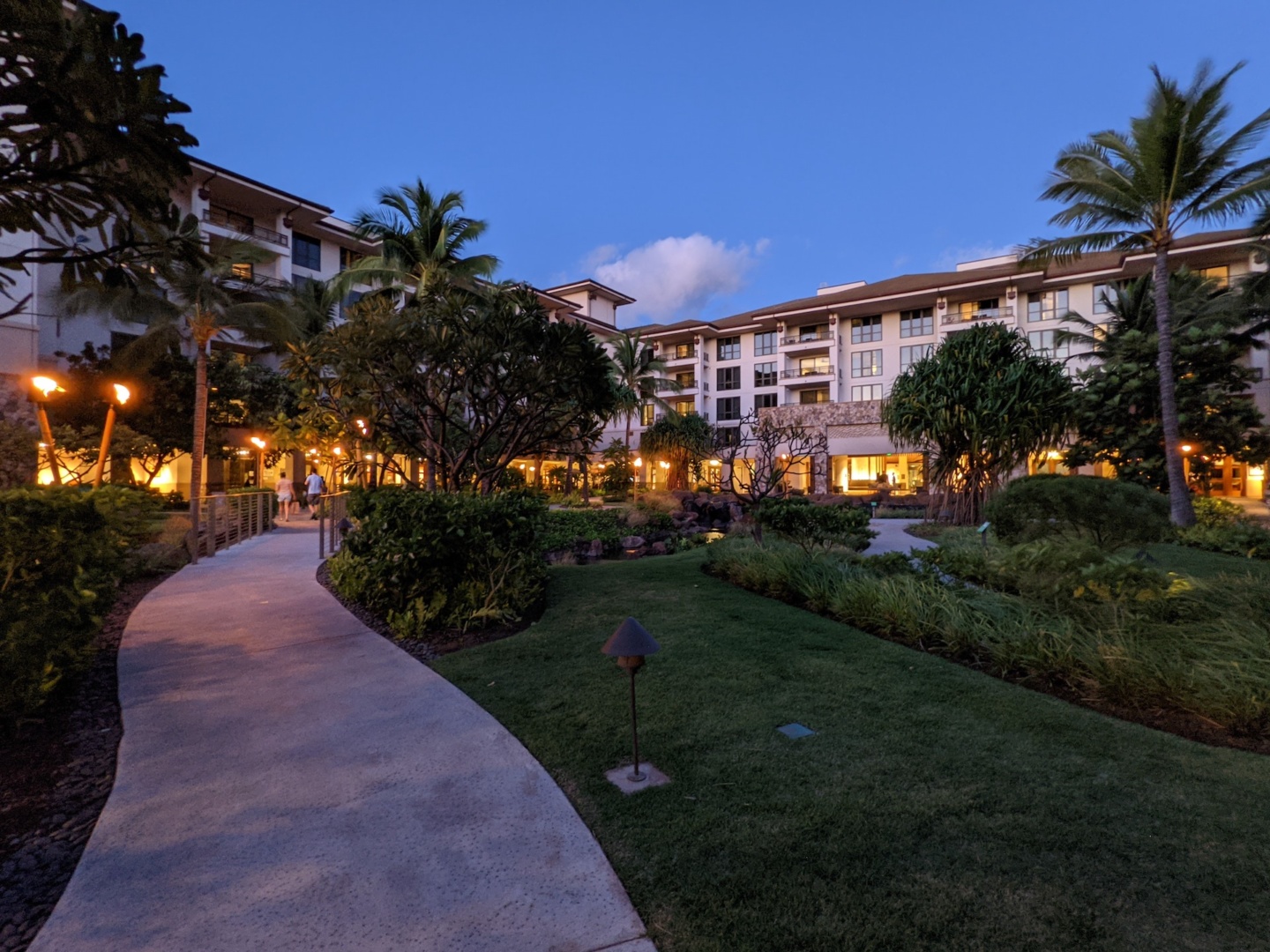 a walkway with trees and plants in front of a building