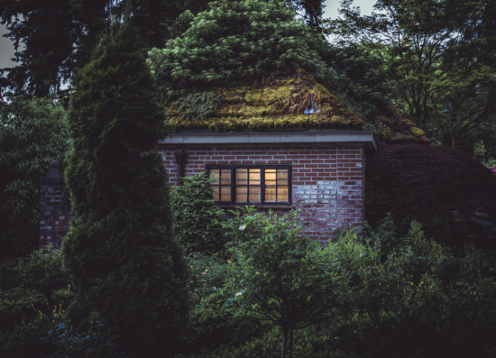 a brick house with plants on the roof