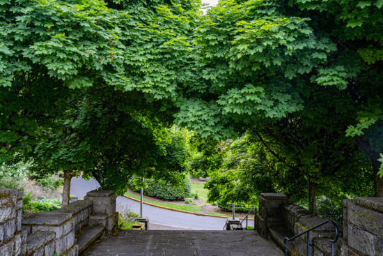 a stone walkway with trees and a road