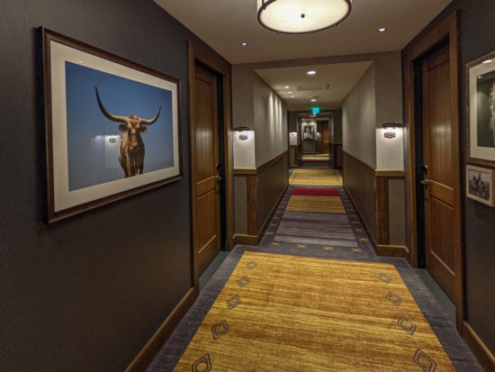 a long hallway with a picture of a bull on the wall