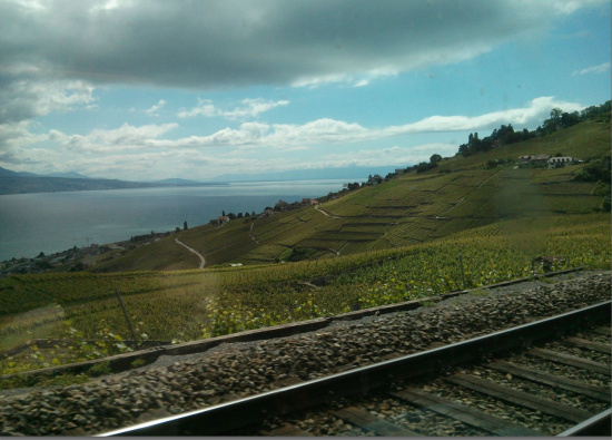 train tracks next to a hill with green fields and a body of water