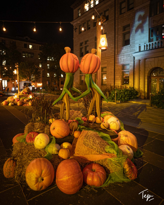 a group of pumpkins on a street