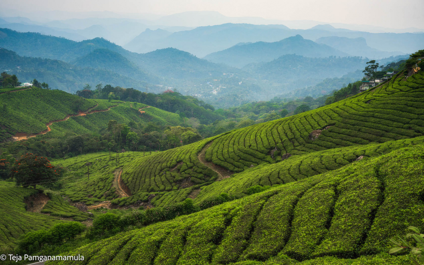 a green hills with hills and trees