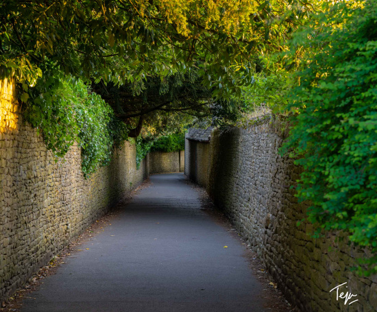 a path between stone walls with trees and bushes