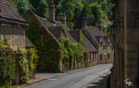 a row of stone houses with ivy on the side of the road