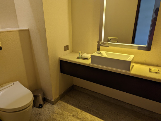 a bathroom with a sink and a toilet