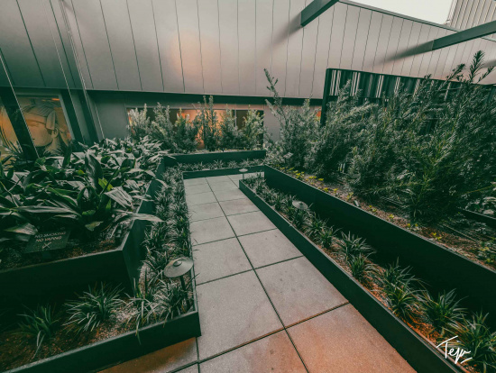 a garden with plants in a building