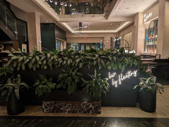 a green plant in a room