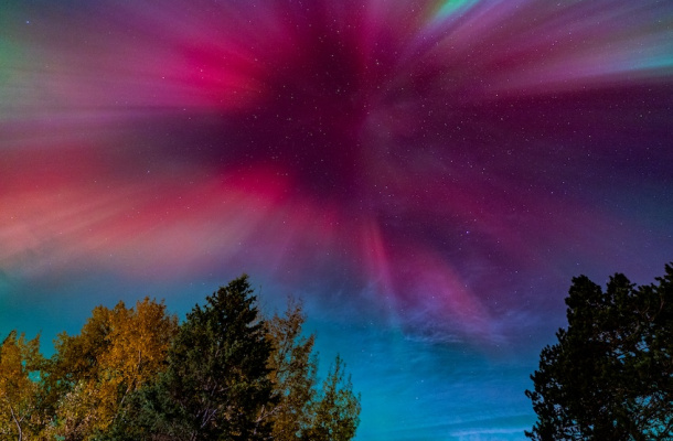 a colorful sky with trees and stars