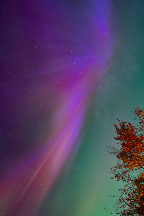 a colorful sky with stars and trees