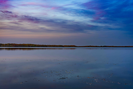 a body of water with trees in the background