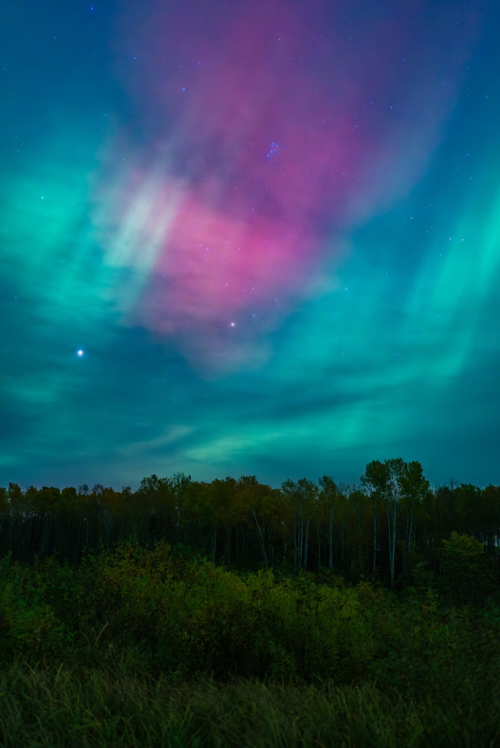 a colorful sky with trees and stars