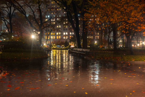 a wet path in a park with trees and lights