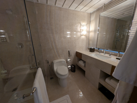 a bathroom with a sink and toilet